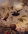 Martin Johnson Heade Fort-Tailed Woodnymph painting
